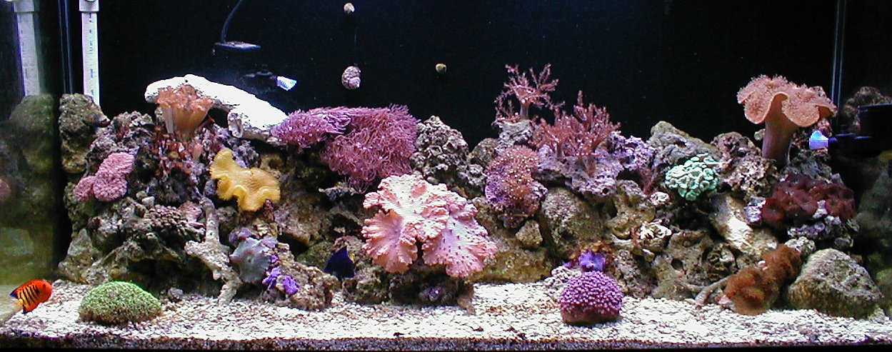30mar03