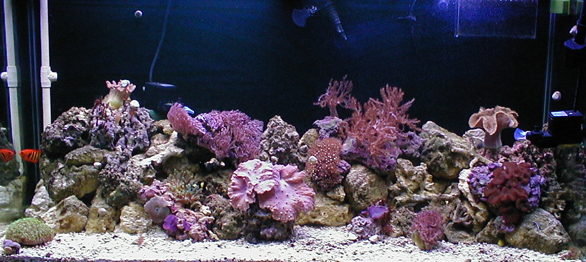 7.mar.03.jpg
