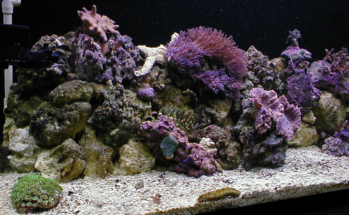 l2mar03